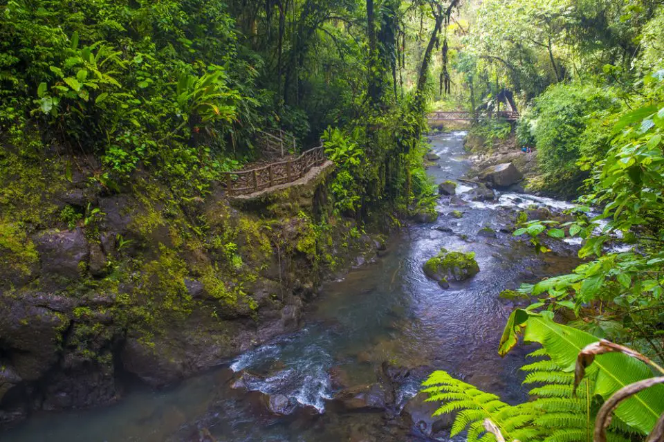 Stream at a tropical rainforest in Costa Rica at La Paz Waterfall Gardens