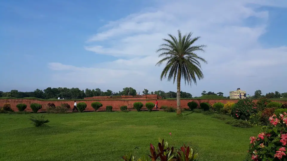 A big palm tree in Shalban Bihar and Shalban Bihar itself behind the tree