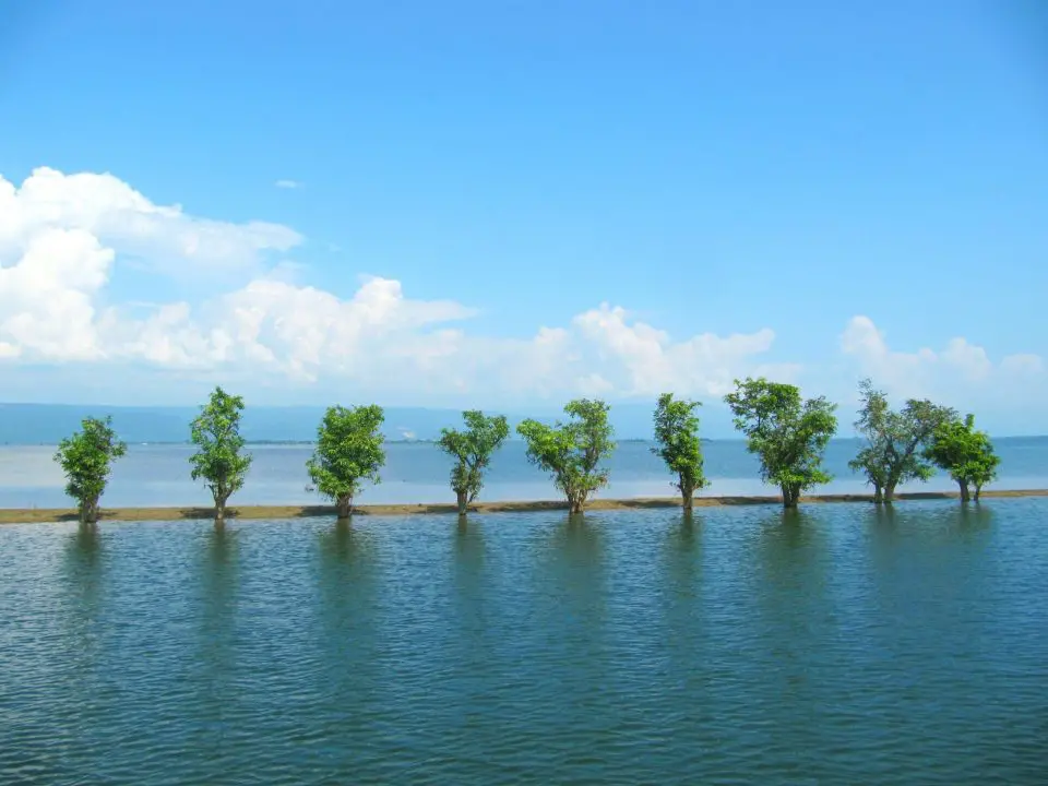 Breathtaking Tanguar Haor blue lake and sky, trees are middle of the lake and huge white cloud in the sky