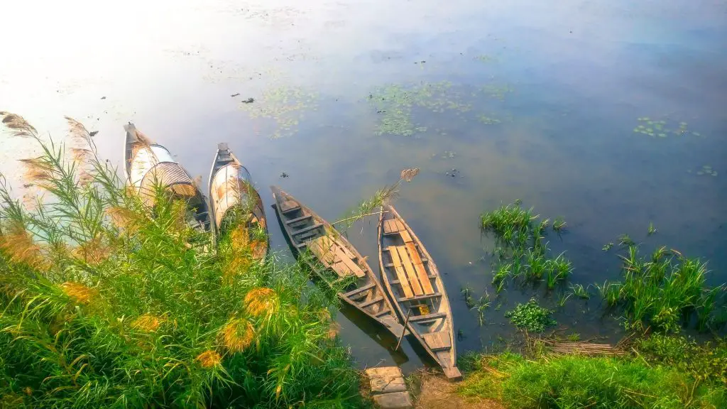 One of the best places in Bangladesh to visit with family. four wooden boats are at the bank of Baikka Beel