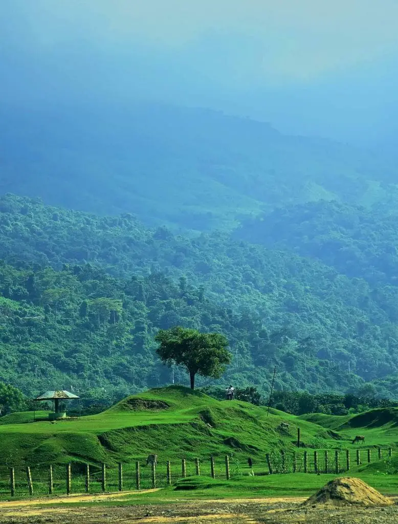 Green trees, field, and mountains view in Sunamganj, Bangladesh