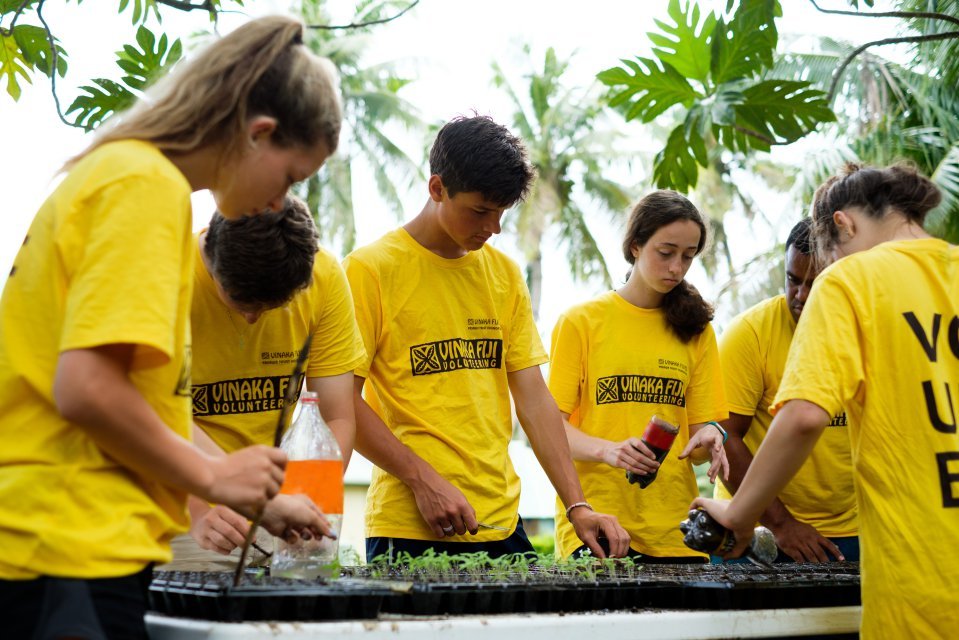 A volunteer program name Vinaka in Fiji. Three boys and girls are working on the Vinaka project in fiji.