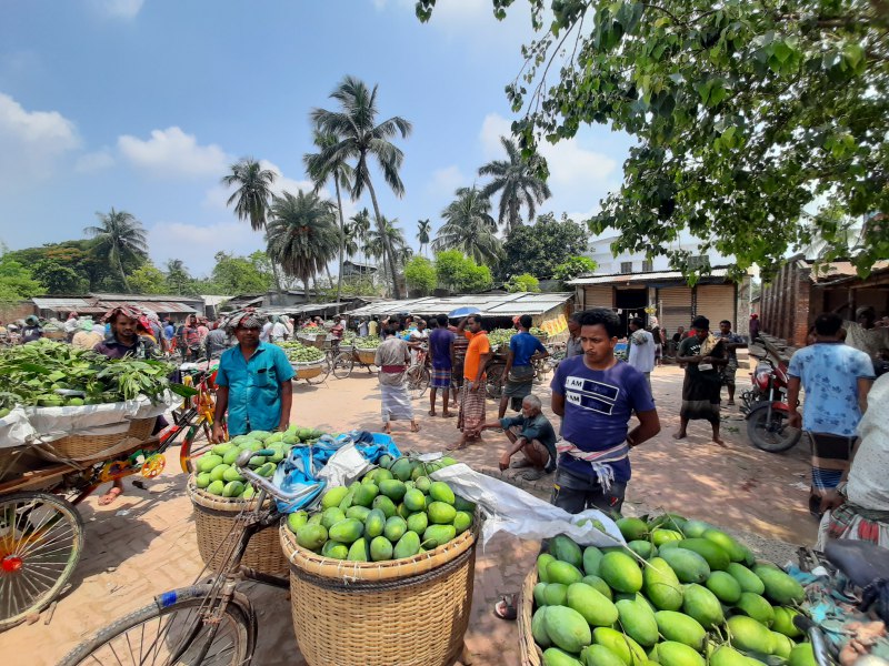 Famous and busy Kansat Mango Market/Kansat Aam Bazar/কানসাট আম বাজার in Chapai Nawabganj. The market is full of mangoes and people.