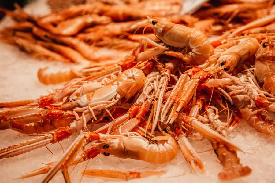 shrimps on ice, seafood on the market