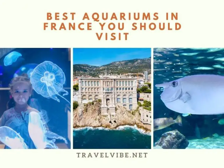 The 10 Best Aquariums In France You Should Visit