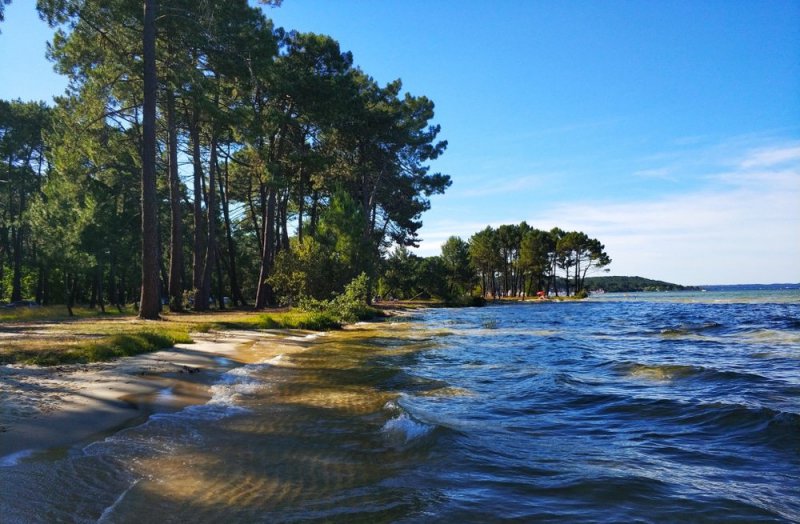 Beach of Lake Navarrosse, Biscarrosse (Landes) - Natural Beach in France