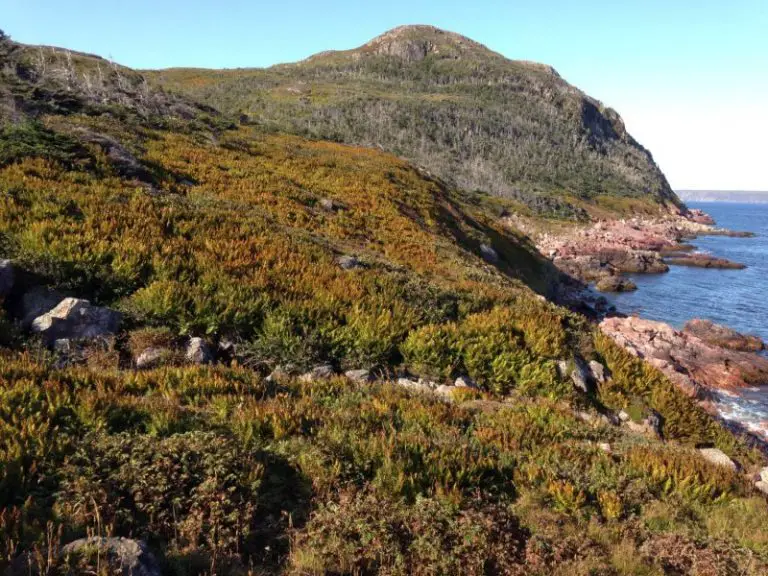 The 10 Most Beautiful Places To Visit in Saint-Pierre-et-Miquelon