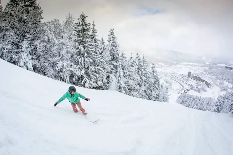 Outdoor Activities in Villard-de-lans in Winter - Skiing and snowboarding