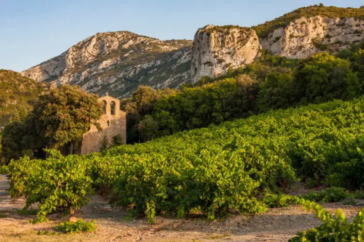 The Languedoc-Roussillon Wine Route