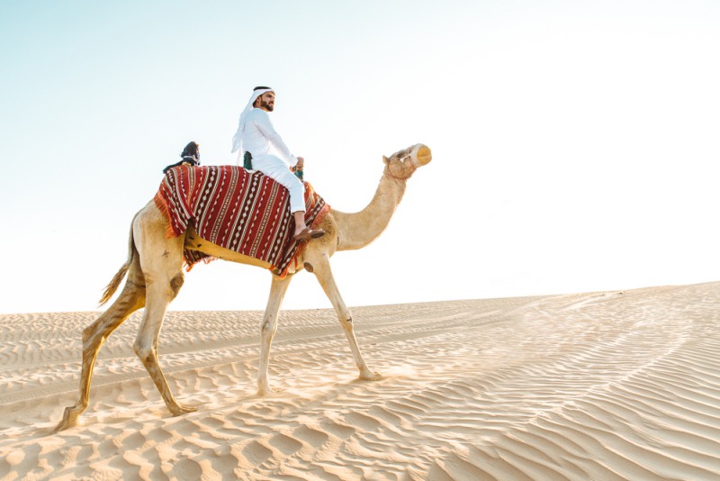 a person riding a camel in the desert