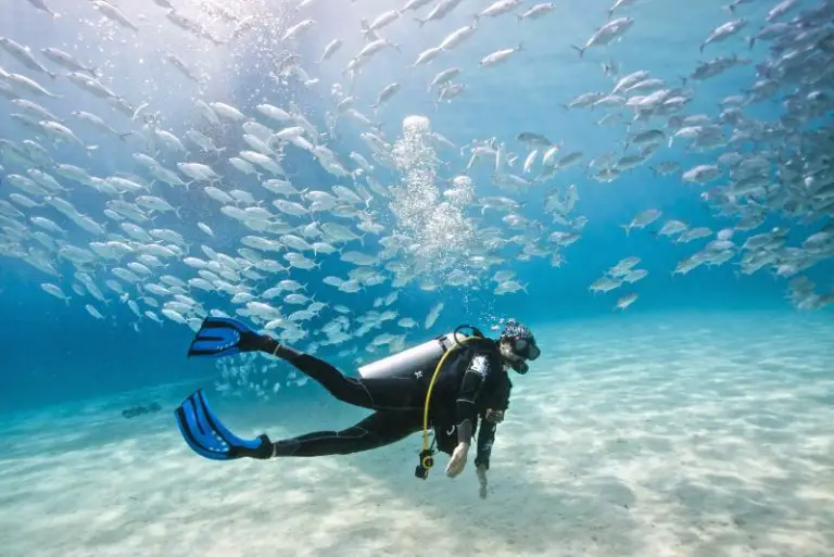 Scuba Diving French Riviera: Reasons and Best Places for Scuba Diving in French Riviera?