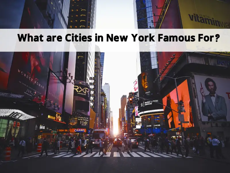 What are Cities in New York Famous For?