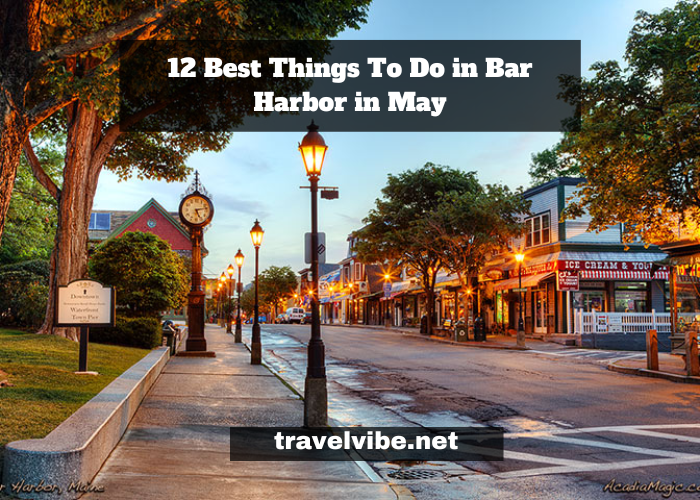 Best Things To Do in Bar Harbor in May