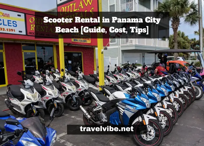 Scooter Rental in Panama City Beach | Things You Need To Know [Guide, Cost, Tips]