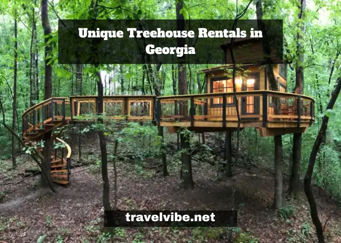 Unique Treehouse Rentals in Georgia