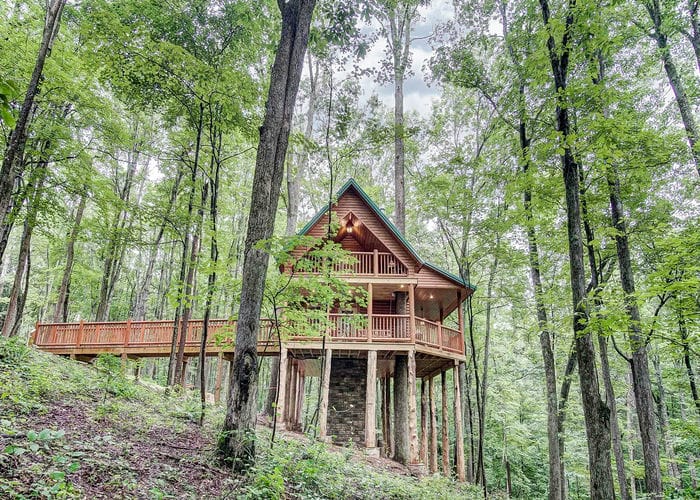 Canopy Treehouses- Canopy Ridge Cabins