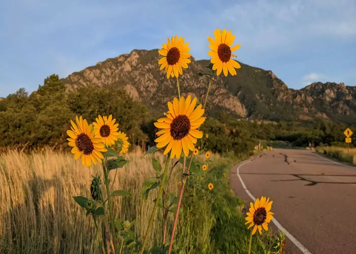 Hike with Your Hound at Cheyenne Mountain and Mueller State Parks
