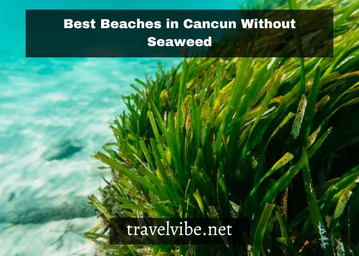 Best Beaches in Cancun Without Seaweed