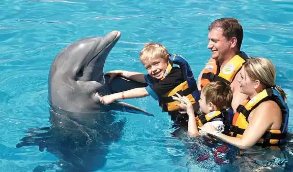 a person and two childs in the water with a dolphin